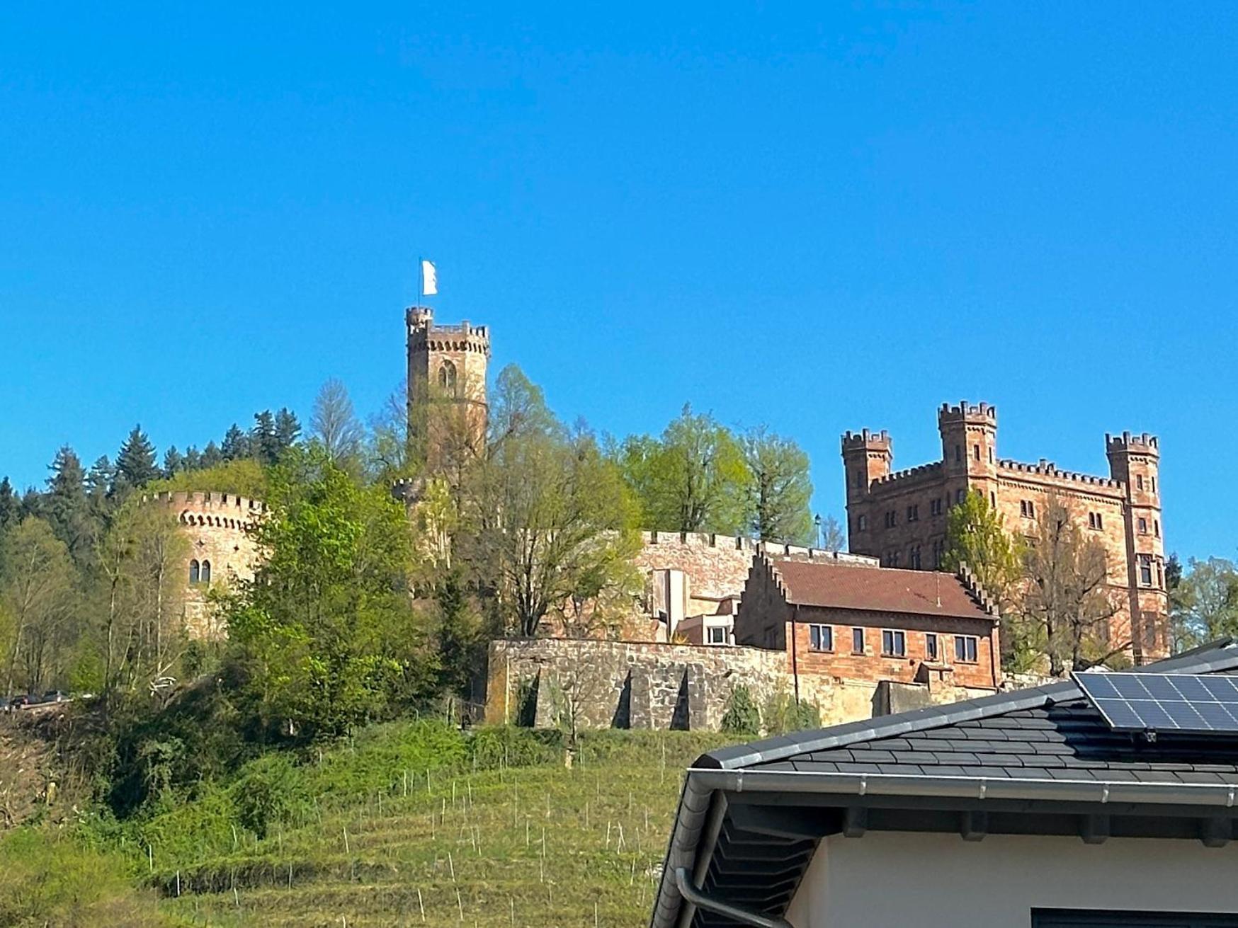Ferienwohnung Mit Schlossblick Bei Offenburg Ortenberg  Eksteriør bilde